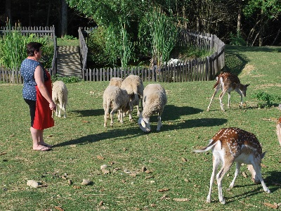 Okolica kmetije Ozmec