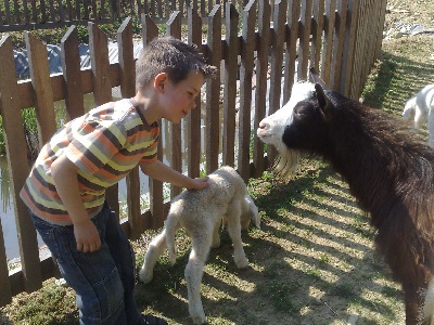 Okolica kmetije Ozmec