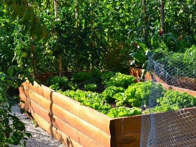 Okolica kmetije Ozmec