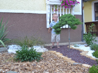 Okolica kmetije Ozmec